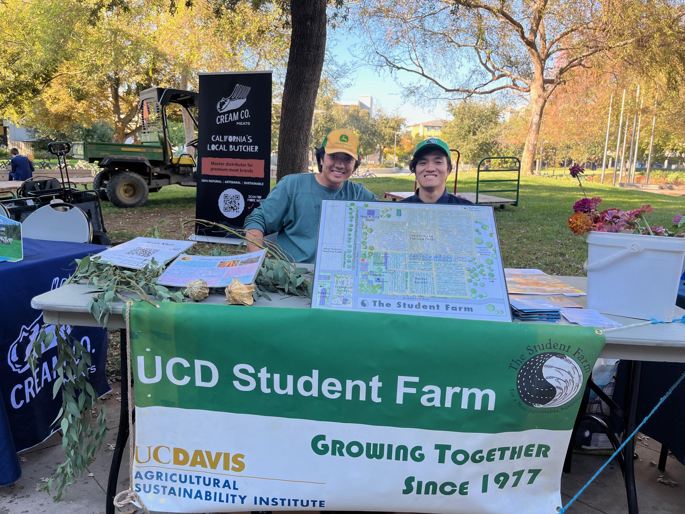 Hatano tabling for the UCD Student Farm program on campus.