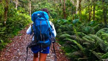 UC Davis Study Abroad, Summer Abroad Ecuador Program, Photo Album, Image 12