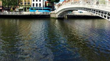 UC Davis Study Abroad, Summer Abroad Ireland_Bio Program, Photo Album, Image 4