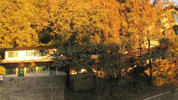 UC Davis Study Abroad, Internship Abroad India Program, Photo Album, Image 12