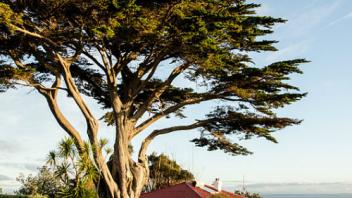 UC Davis Study Abroad, Internship Abroad New Zealand Program, Photo Album, Image 11
