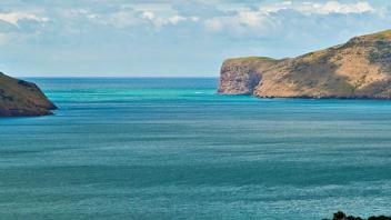 UC Davis Study Abroad, Internship Abroad New Zealand Program, Photo Album, Image 3