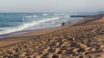 UC Davis Study Abroad, Internship Abroad South Africa Durban Program, Photo Album, Image 10