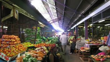 UC Davis Study Abroad, Internship Abroad South Africa Durban Program, Photo Album, Image 3