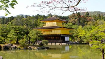 UC Davis Study Abroad, Quarter Abroad Japan Program, Photo Album, Image 1