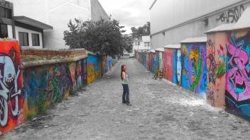 UC Davis Study Abroad, Quarter Abroad Mexico Program, Photo Album, Image 3
