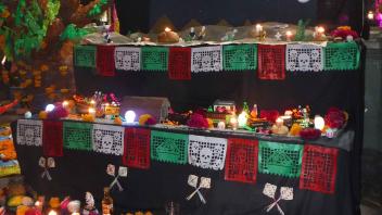 UC Davis Study Abroad, Seminar Abroad Mexico Program, Photo Album, Image 4
