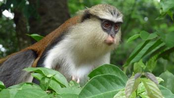 UC Davis Study Abroad, Internship Abroad Ghana Program, Photo Album, Image 5