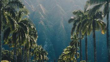 UC Davis Study Abroad, Internship Abroad Hawaii Education Program, Photo Album, Image 7