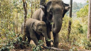 UC Davis Study Abroad, Summer Internship Abroad Thailand Education Program, Photo Album, Image 10