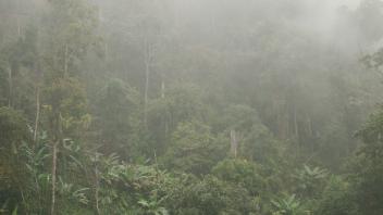 UC Davis Study Abroad, Summer Internship Abroad Thailand Education Program, Photo Album, Image 7