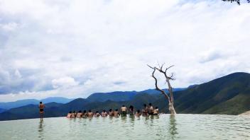 UC Davis Study Abroad, Quarter Abroad Mexico Program, Photo Album, Image 29
