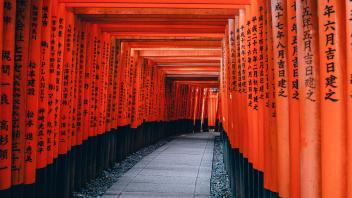 UC Davis Study Abroad, Summer Abroad Japan Program, Photo Album, Image 13