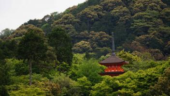 UC Davis Study Abroad, Summer Abroad Japan Program, Photo Album, Image 14