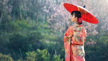 UC Davis Study Abroad, Summer Abroad Japan Program, Photo Album, Image 4