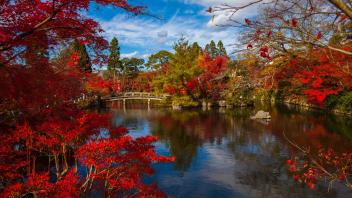 UC Davis Study Abroad, Summer Abroad Japan Program, Photo Album, Image 7
