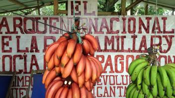 UC Davis Study Abroad, Summer Internships Abroad Ecuador Program, Photo Album, Image 1