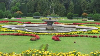Photo of a large green lawn with a pond in the middle