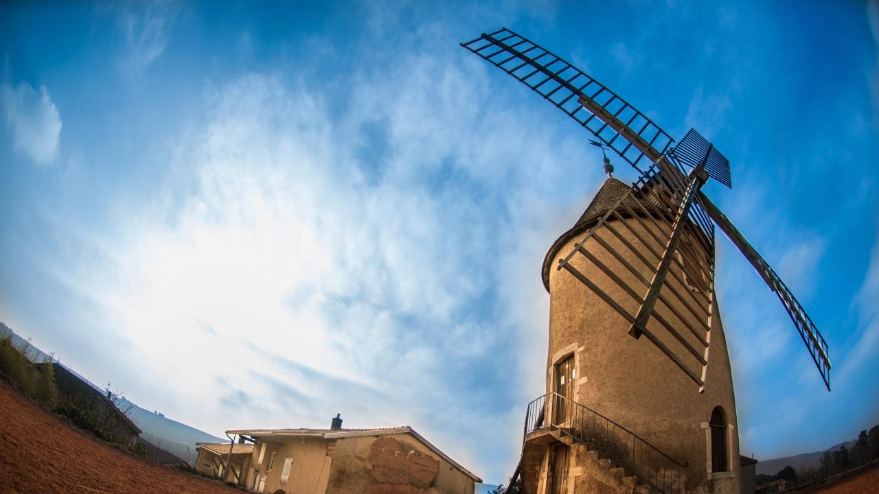 UC Davis Summer Abroad France_Wine, Photo Album, Header