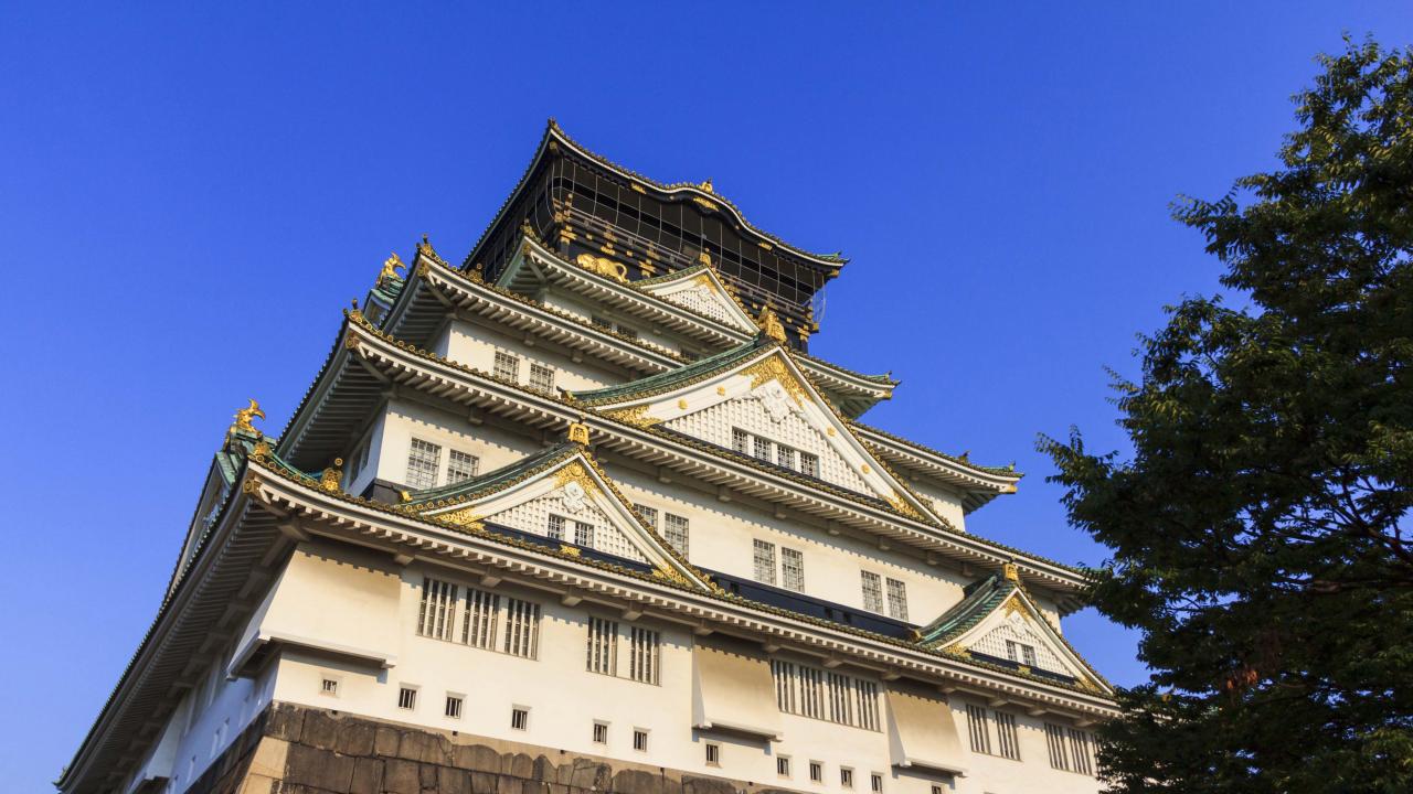 UC Davis Summer Abroad Japan Life, Photo Album, Header