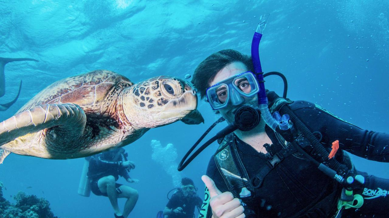 UC Davis Internship Abroad Australia, Photo Album, Header