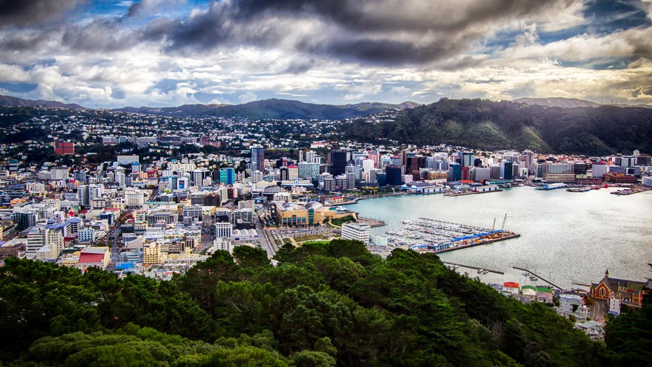 UC Davis Internship Abroad New Zealand, Photo Album, Header