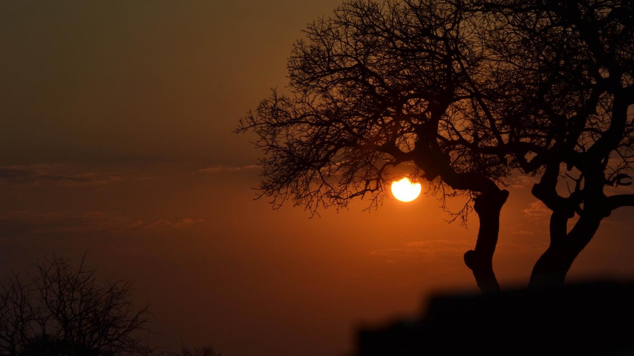 UC Davis Summer Abroad South Africa, Photo Album, Header