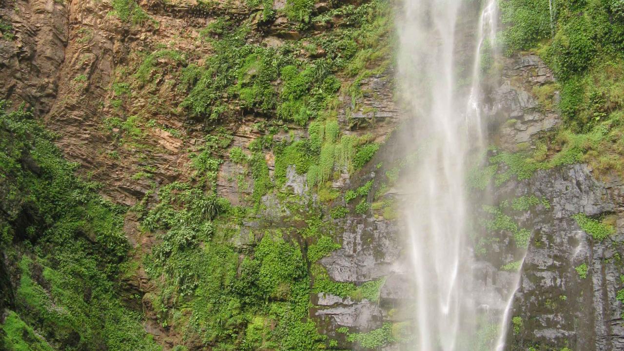 UC Davis Internship Abroad Ghana, Photo Album, Header
