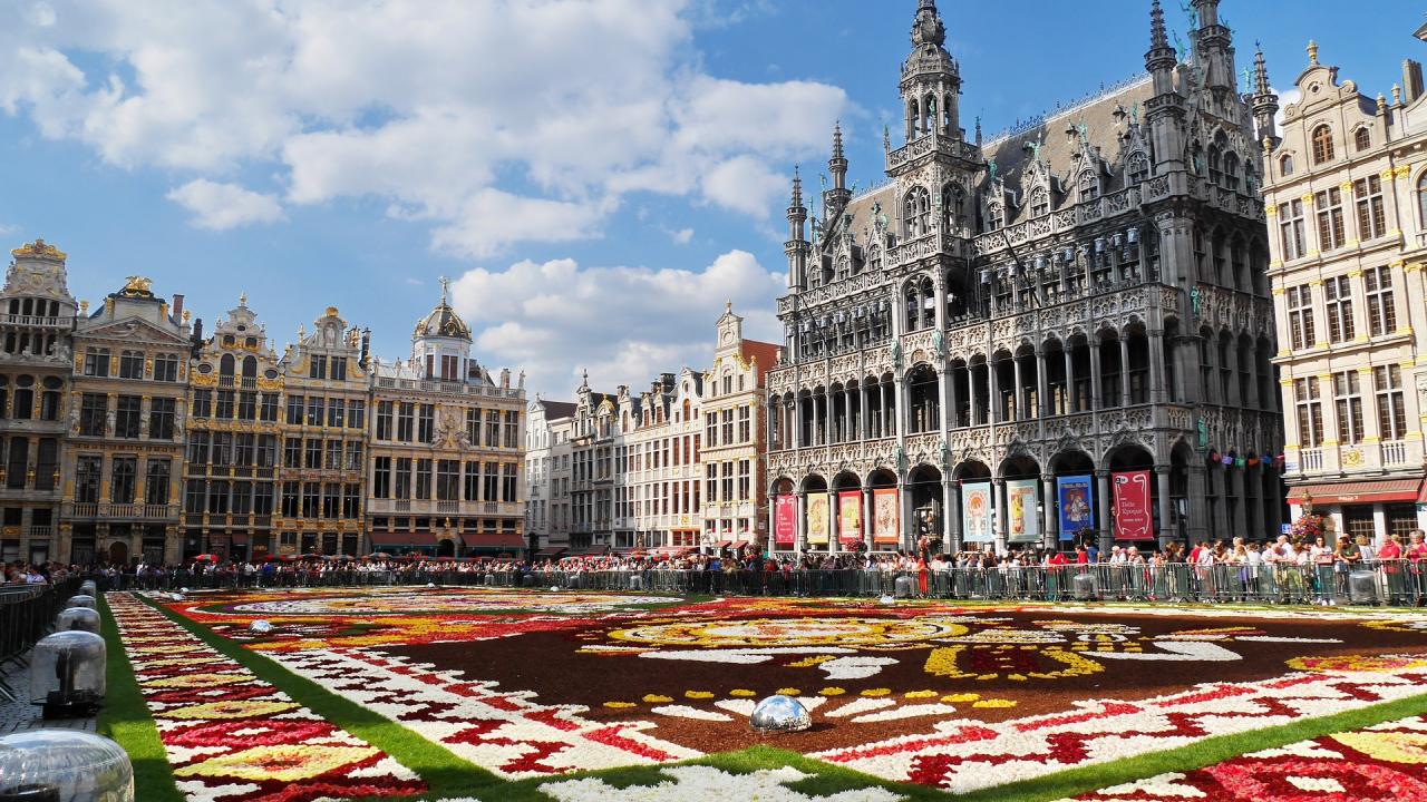UC Davis Summer Abroad Belgium, Photo Album, Header