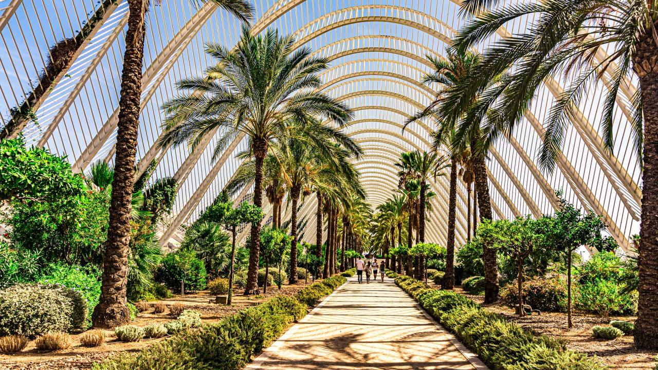 UC Davis Internship Abroad Spain, Photo Album, Header