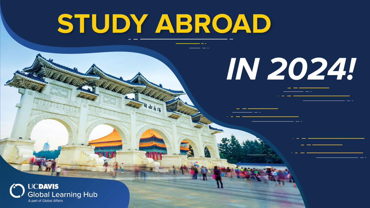 Graphic with text "Study Abroad in 2024!"