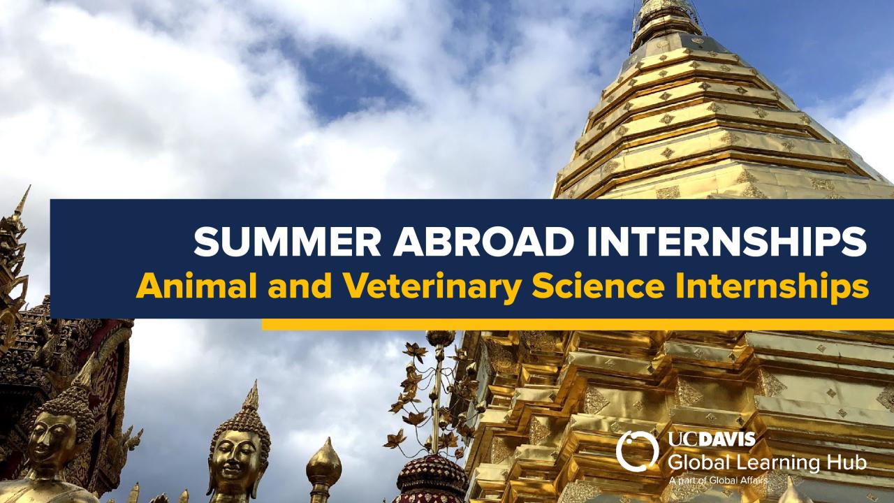 UC Davis Global Learning Hub banner promoting "Summer Abroad Internships: Animal and Veterinary Science Internships," displayed against a backdrop of golden temple spires and intricate Buddha statues under a partly cloudy sky