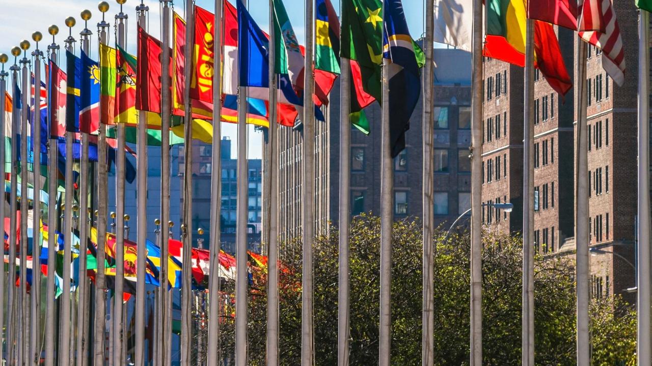 Images of a raw of flags in front of buildings