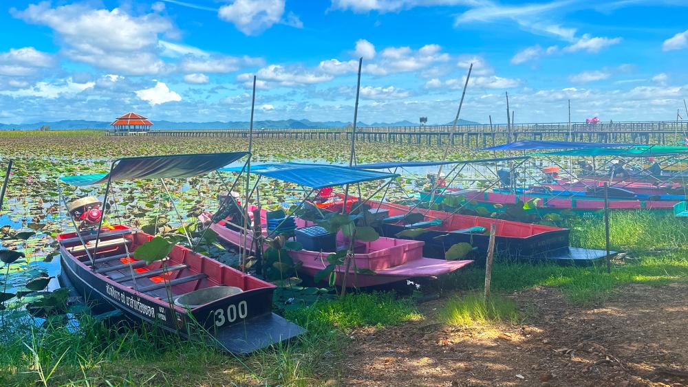 A photo of a number of docked boats.