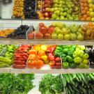 Header Image, Study Abroad in Food Science and Technology