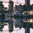 UC Davis Study Abroad, Summer Internship Abroad New Zealand, Psychology Program, Header Image