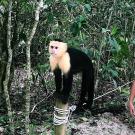 UC Davis Study Abroad, Summer Internship Costa Rica Program, Photo Album, Image 6