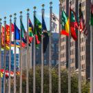 Images of a raw of flags in front of buildings