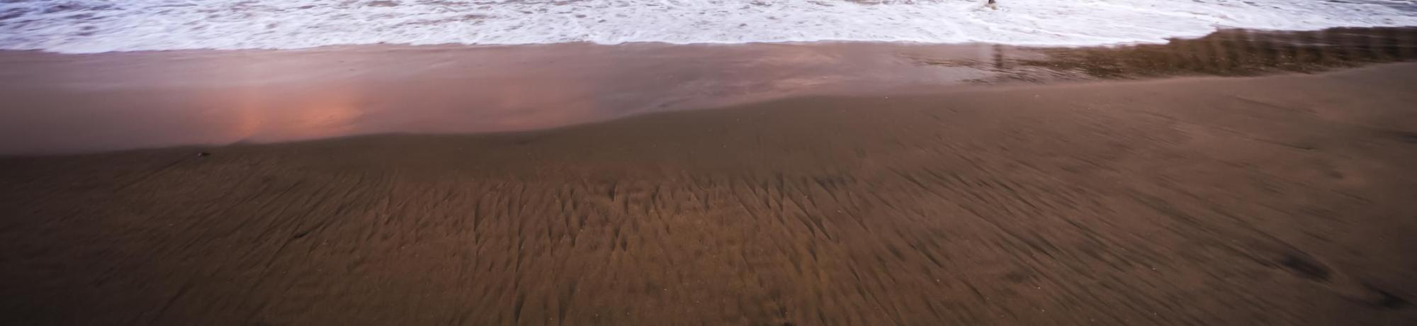 UC Davis Study Abroad, Summer Internship Abroad South Africa, Hospital Medicine & Infectious Disease In Durban Program, Header Image, Overview Page
