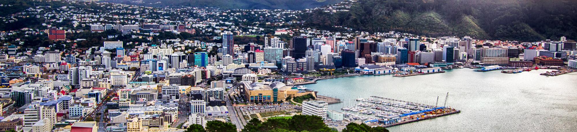 UC Davis Internship Abroad New Zealand, Photo Album, Header