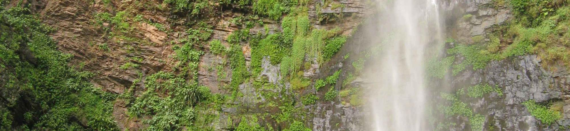 UC Davis Internship Abroad Ghana, Photo Album, Header