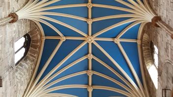 UC Davis Study Abroad, Summer Abroad UK Management Program, Photo Album, Image 12