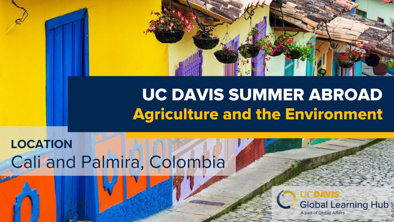 UC Davis Global Learning Hub banner for the Summer Abroad program ‘Agriculture and the Environment,’ located in Cali and Palmira, Colombia. The background shows colorful colonial-style buildings with bright yellow, blue, and orange walls and hanging flower baskets.
