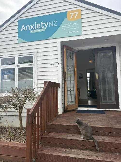 Gray cat sitting on steps in front of a building with an "AnxietyNZ" sign.