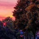 UC Davis Study Abroad, Summer Abroad Germany, Personality Psychology in Berlin Program, Header Image