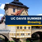 UC Davis Global Learning Hub banner for the Summer Abroad program ‘Brewing and Beer,’ with locations in Belgium and Germany. The background features a historic building over a stone bridge above a river under a bright blue sky.