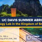 Graphic with text "UC Davis Summer Abroad Microbiology Lab in the Kingdom of Smiles"