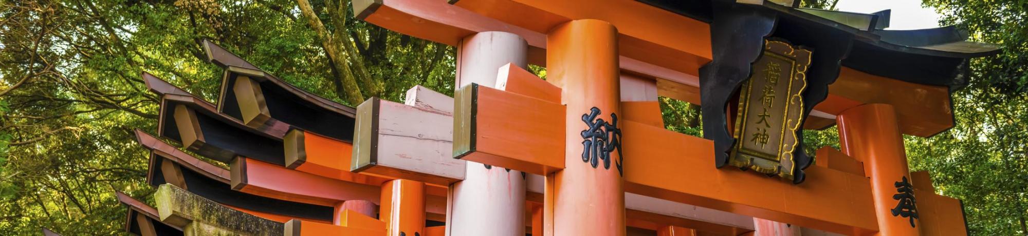 Vibrant orange torii gates nestled among green trees.