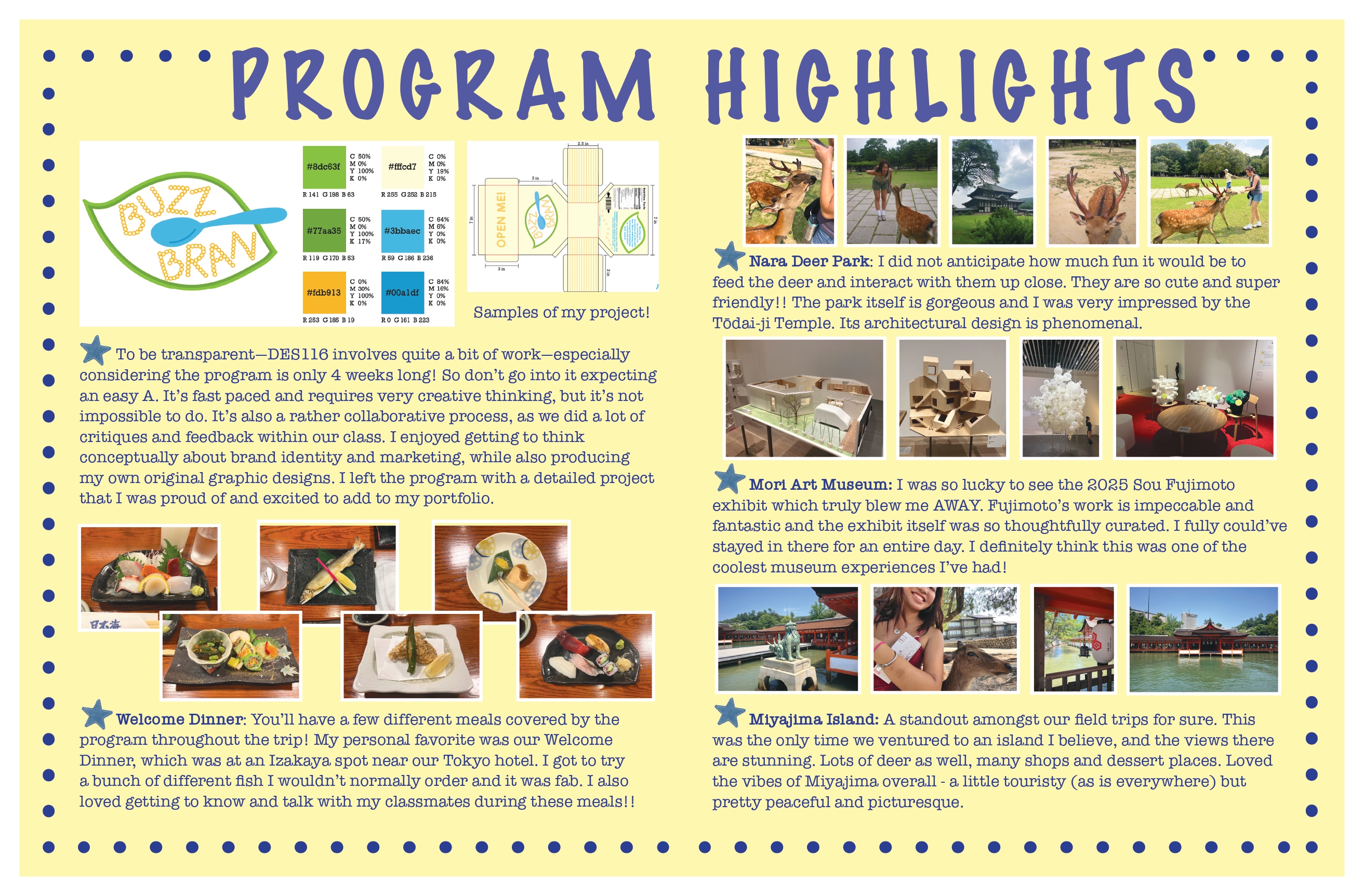 Colorful flyer displaying program highlights with photos and descriptions of various activities.