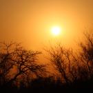Sunset with silhouetted bare-branched trees against a glowing orange sky.
